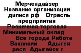 Мерчендайзер › Название организации ­ диписи.рф › Отрасль предприятия ­ Розничная торговля › Минимальный оклад ­ 25 000 - Все города Работа » Вакансии   . Адыгея респ.,Адыгейск г.